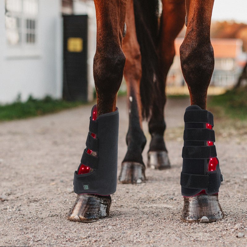 stalltilbud hesteutstyr hest rytter stallekholmsprob grime slowfeeder