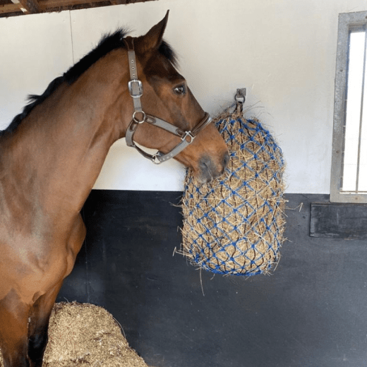 stalltilbud hesteutstyr hest rytter stallekholmsprob grime slowfeeder